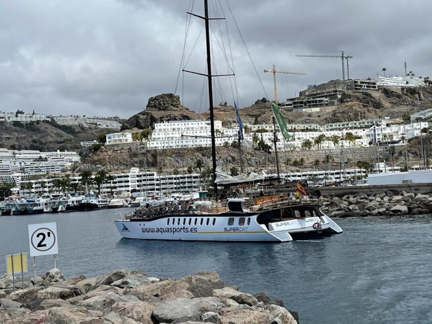 Puerto Rico : 2 hour Dolphin Catamaran Excursion - Booking, cancellations, and pickup details