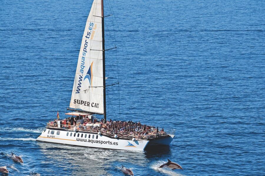 Puerto Rico : 2 hour Dolphin Catamaran Excursion - What the two-hour route feels like