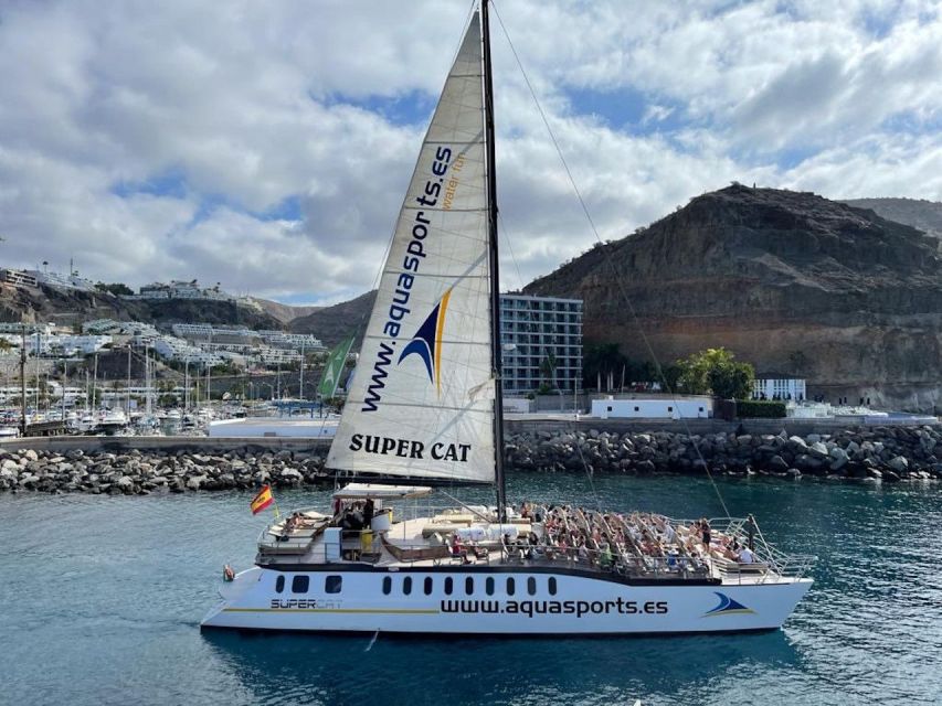 Puerto Rico de Gran Canaria: Premium Dolphin Catamaran Tour - Booking details worth keeping in mind