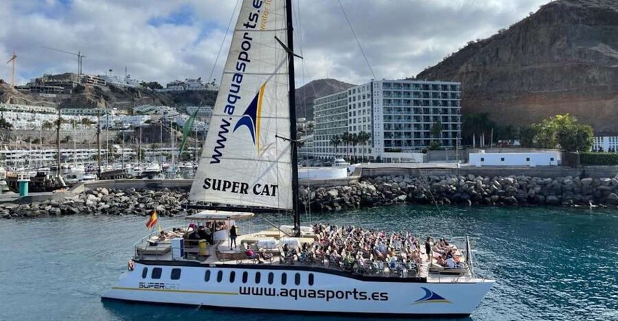 Puerto Rico de Gran Canaria: Premium Dolphin Catamaran Tour - Cliffs, caves, and beaches from the water