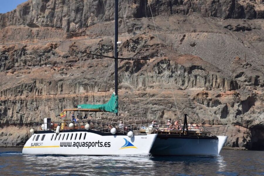 Puerto Rico de Gran Canaria: Premium Dolphin Catamaran Tour - How the $75 price works for you