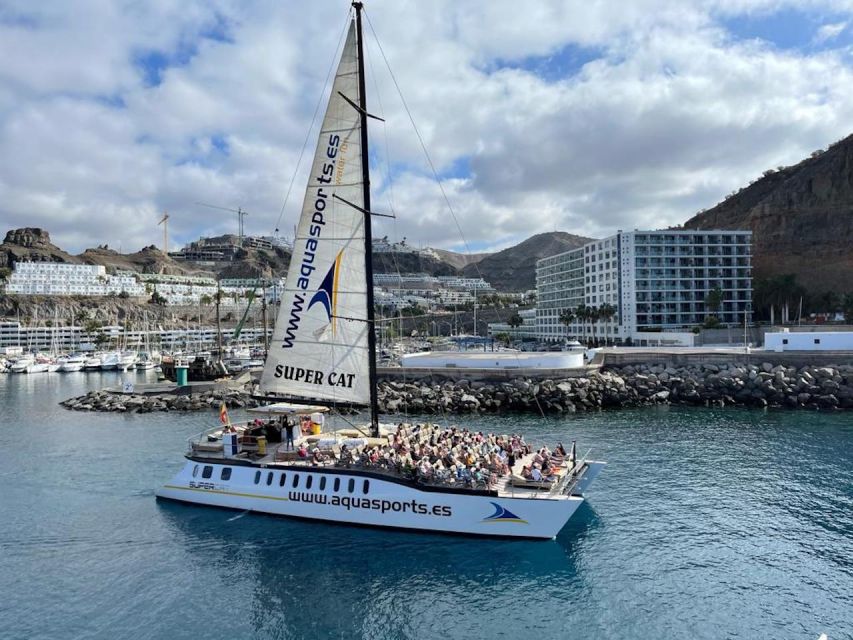Puerto Rico de Gran Canaria: Premium Dolphin Catamaran Tour - Comfort, crew style, and the group atmosphere