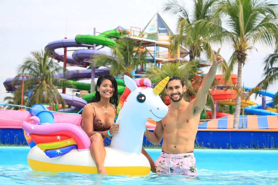 Puerto Vallarta: Dolphin Swimming and Aquaventuras Park - Timing, language, and the daily practical details