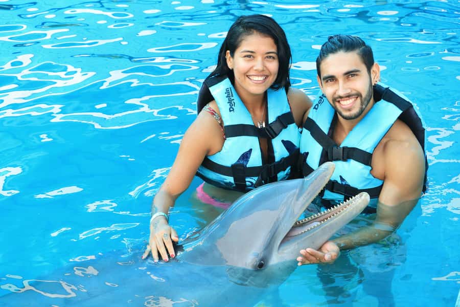 Puerto Vallarta: Dolphin Swimming and Aquaventuras Park - Should you book the Aquaventuras dolphin program?