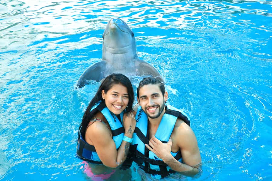 Puerto Vallarta: Dolphin Swimming and Aquaventuras Park - FAQ