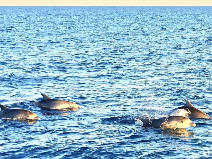 Pula: Brijuni Dolphins Sunset Cruise with Dinner and Drinks - The Arena’s useful comforts