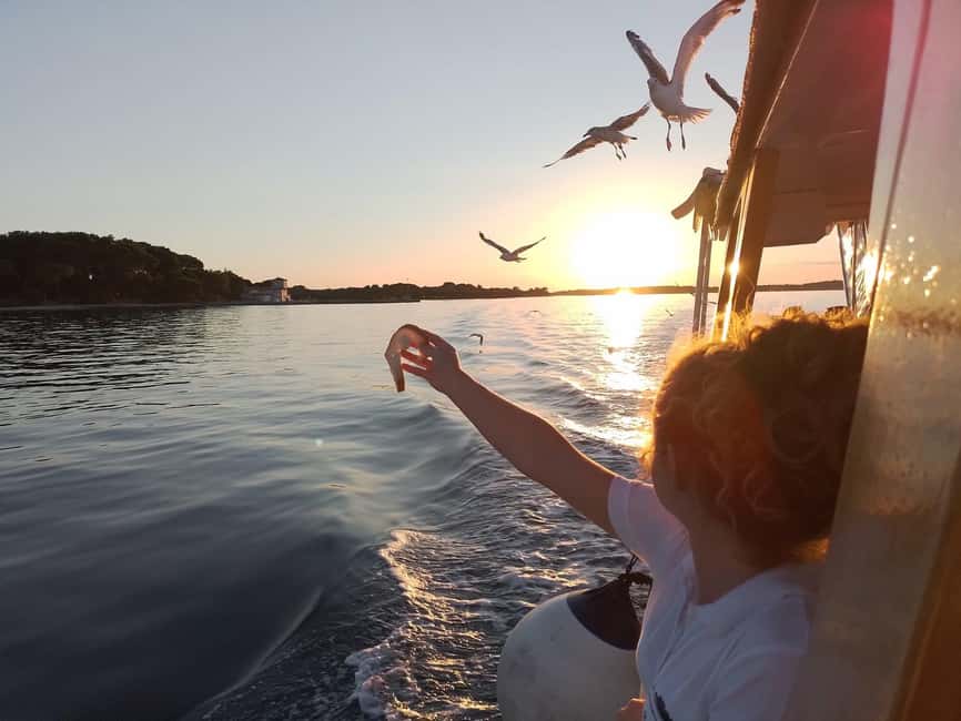 Pula: Brijuni Dolphins Sunset Cruise with Dinner and Drinks - Returning with Pula lights ahead