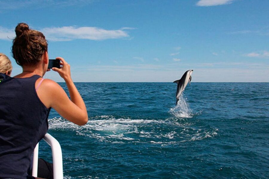 Pula: Brijuni Islands Dolphin Watching & Wildlife Cruise - The search for dolphins