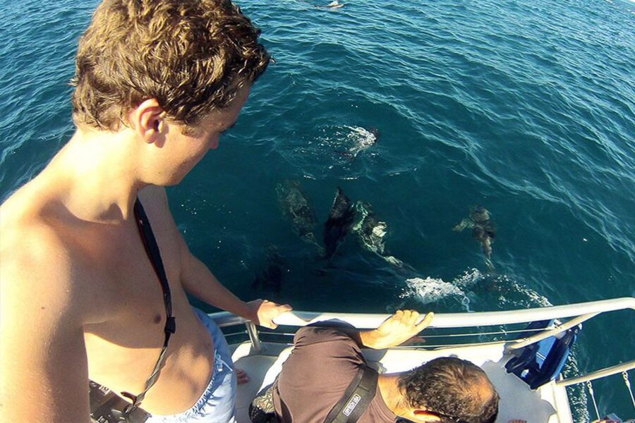 Pula: Brijuni Islands Dolphin Watching & Wildlife Cruise - Useful details before you book