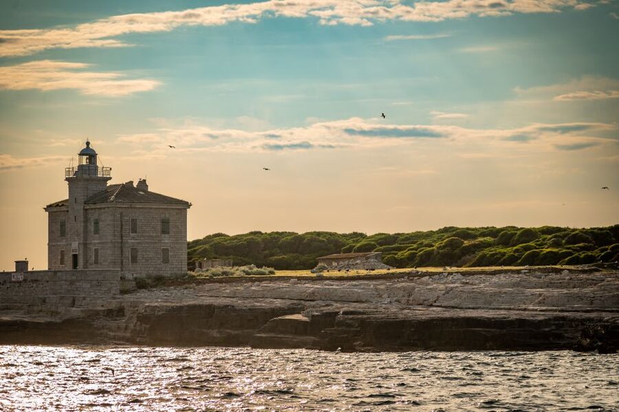 Pula: Brijuni National Park Sunset, Dolphins & Dinner Cruise - Who should book this cruise?