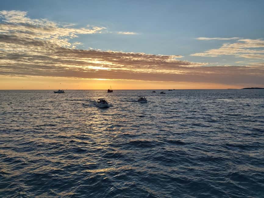 Pula: Dolphin Sunset Cruise to Brijuni with Dinner & Drinks - What the Ananda Catamaran Feels Like