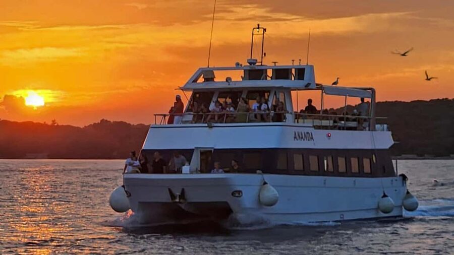 Pula: Dolphin Sunset Cruise to Brijuni with Dinner & Drinks - Searching for Dolphins Near Brijuni