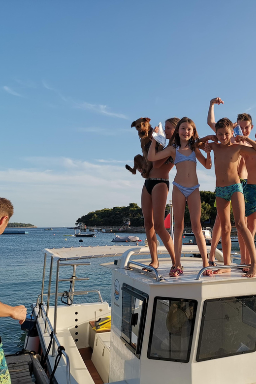 Pula Dolphin Watching Boat Trip - At a glance