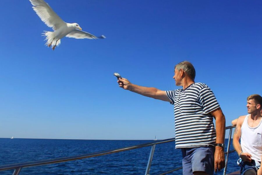 Pula: Dolphin Watching Sunset Cruise with Dinner & Drinks - Setting sail from Pula with the amphitheater in view