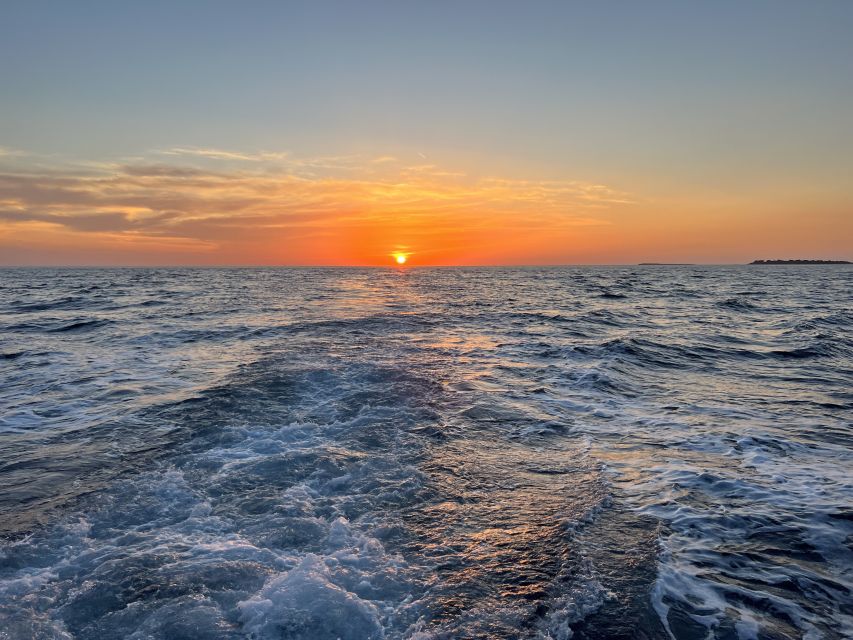 Pula: Dolphin Watching Sunset Cruise with Dinner & Drinks - Returning to Pula after dark