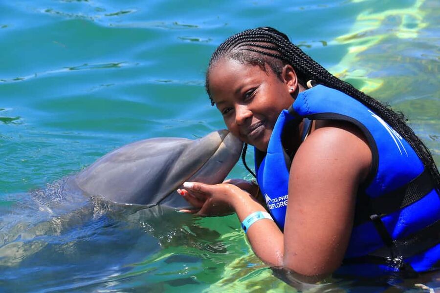Punta Cana Dolphin Adventure: 40-Minute Interaction - Key points to know before booking