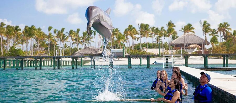 Punta Cana Dolphin Adventure: 40-Minute Interaction - Booking details that affect your day