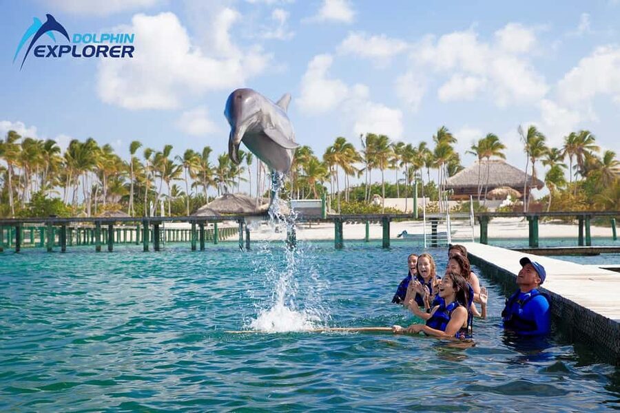 Punta Cana Dolphin Adventure: 40-Minute Interaction - What the Punta Cana Dolphin Adventure actually includes