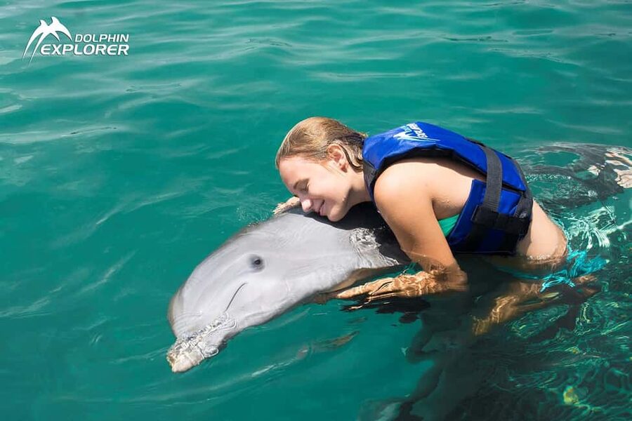 Punta Cana Dolphin Adventure: 40-Minute Interaction - What the $167 price means in practical terms
