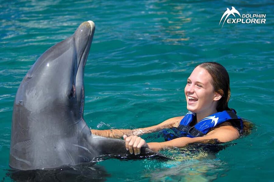 Punta Cana Dolphin Adventure: 40-Minute Interaction - Safety, health, and environmental points