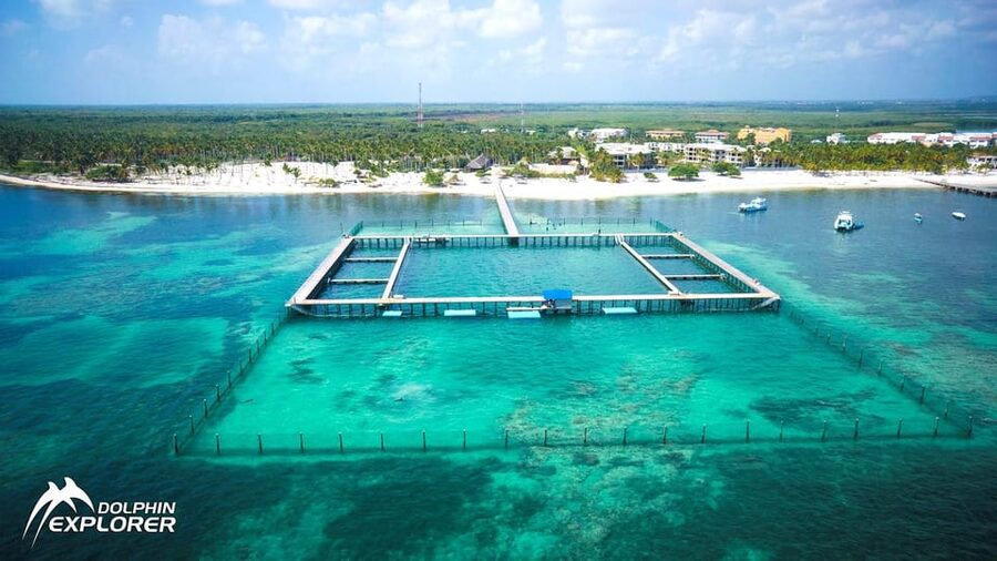 Punta Cana Dolphin Adventure: 40-Minute Interaction - Who will get the most from this experience