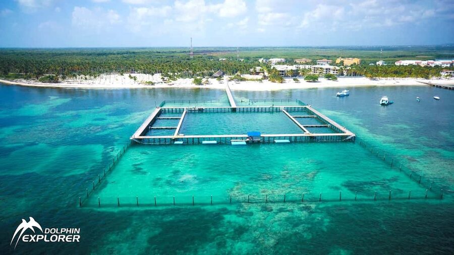 Punta Cana Dolphin Adventure: 40-Minute Interaction - From hotel pickup to Dolphin Explorer