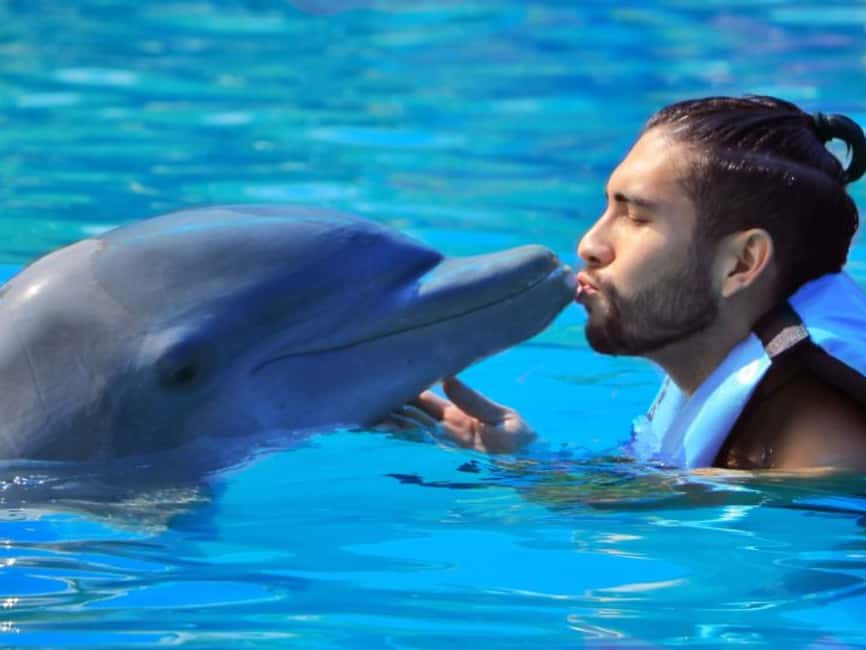 Punta Cana: Dolphin Explorer Park Entry, Swim, or Encounter - Key points to know before booking