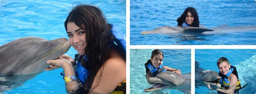 Punta Cana: Dolphin Explorer Park Entry, Swim, or Encounter - Meeting the dolphins at Dolphin Explorer Park
