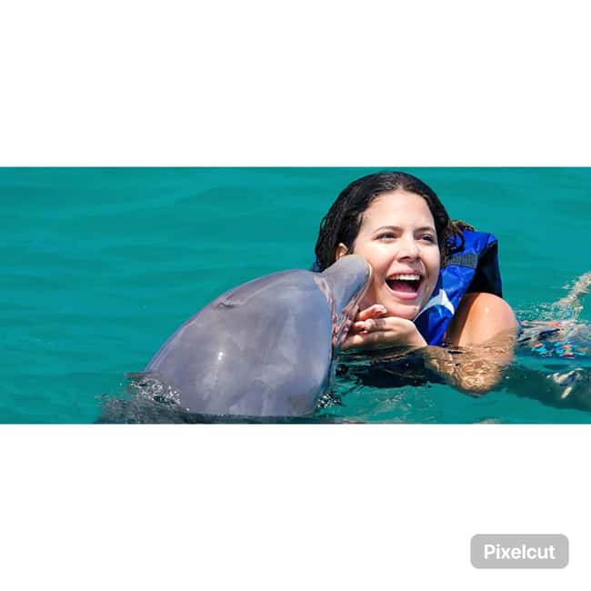 Punta Cana: Dolphin Explorer Park Entry, Swim, or Encounter - What happens from pickup in Punta Cana or Bávaro