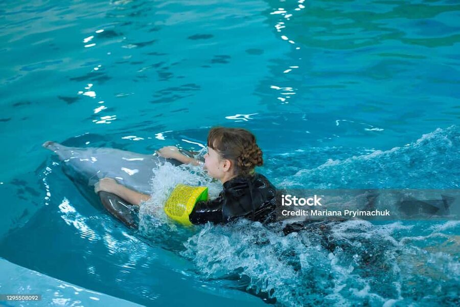 Punta Cana: Dolphin Explorer Park Entry, Swim, or Encounter - Sea lions, birds, and Pirate Island