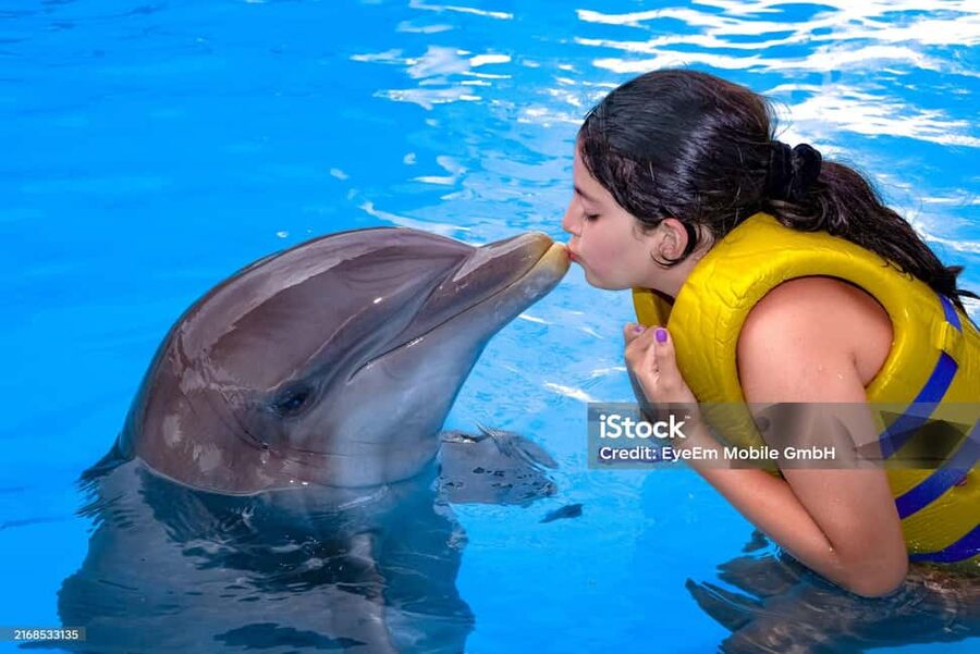 Punta Cana: Dolphin Explorer Park Entry, Swim, or Encounter - What the ratings reveal about the experience