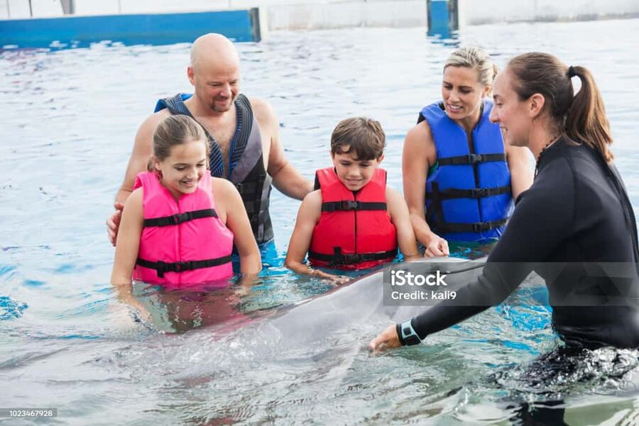Punta Cana: Dolphin Explorer Park Entry, Swim, or Encounter - Who will enjoy this most
