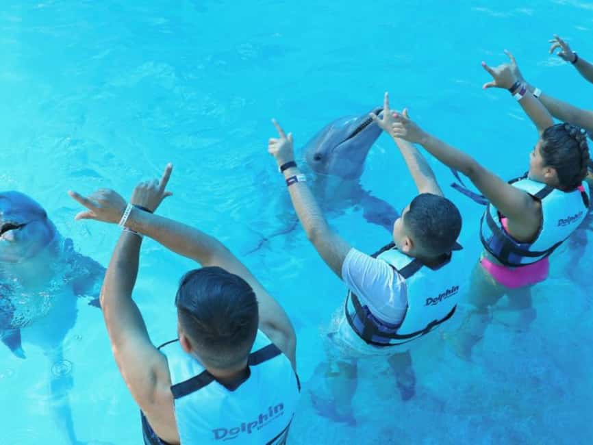 Punta Cana: Dolphin Explorer Park Entry, Swim, or Encounter - One hour in the water, about three hours for the outing