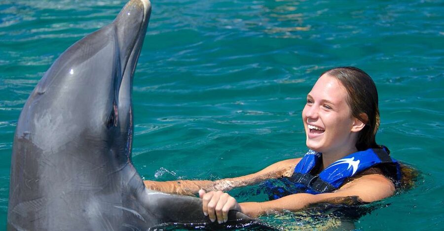 Punta Cana: Dolphin Explorer Swims and Interactions - How this compares with a normal beach day