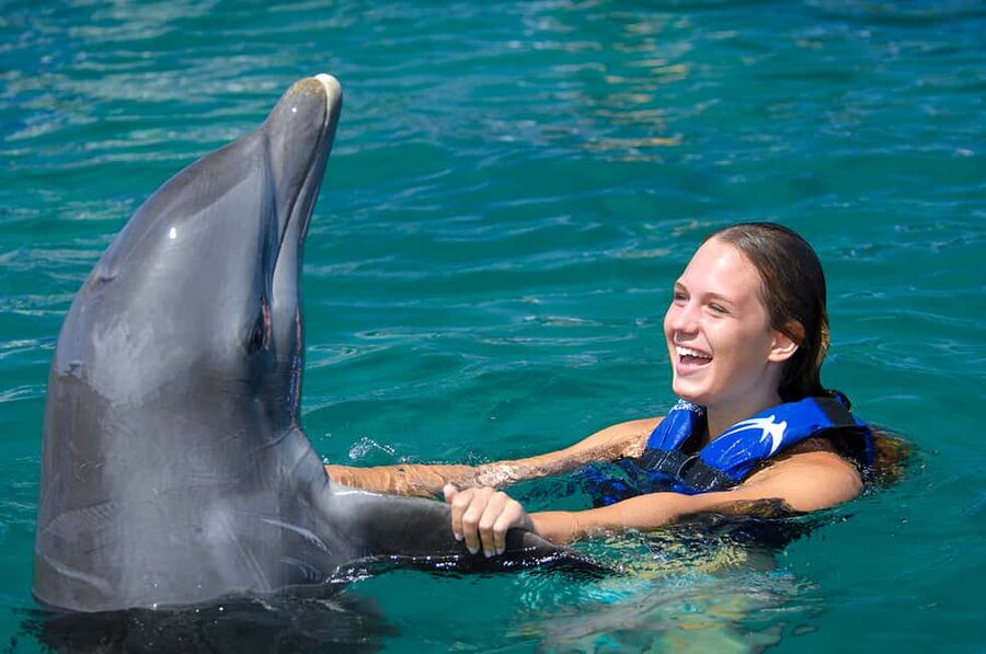 Punta Cana: Dolphin Explorer Swims and Interactions - Hotel pickup makes the day easier