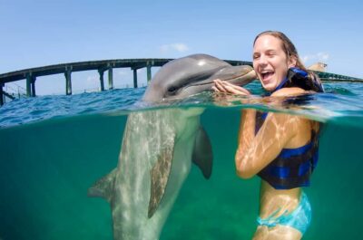 Punta Cana: Dolphin Explorer Swims and Interactions