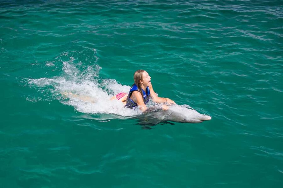 Punta Cana: Dolphin Explorer Swims and Interactions - Extra animal contact may be part of the wider visit