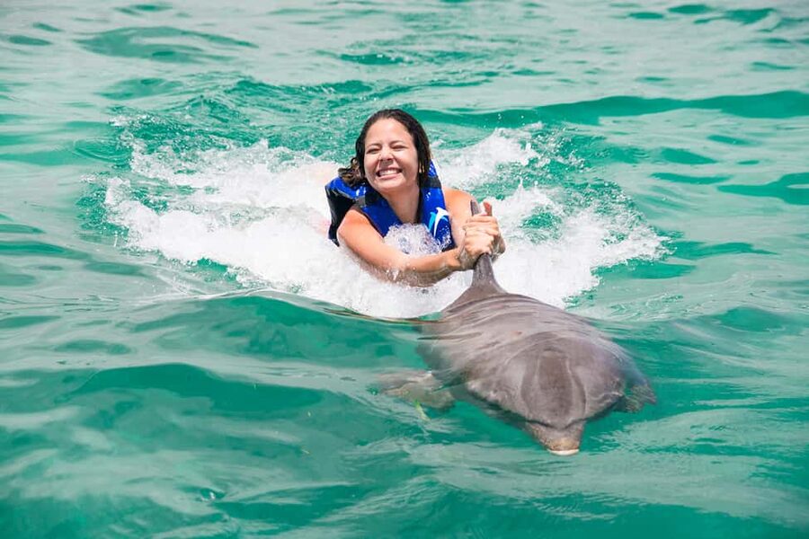 Punta Cana: Dolphin Explorer Swims and Interactions - Tips for a smoother visit