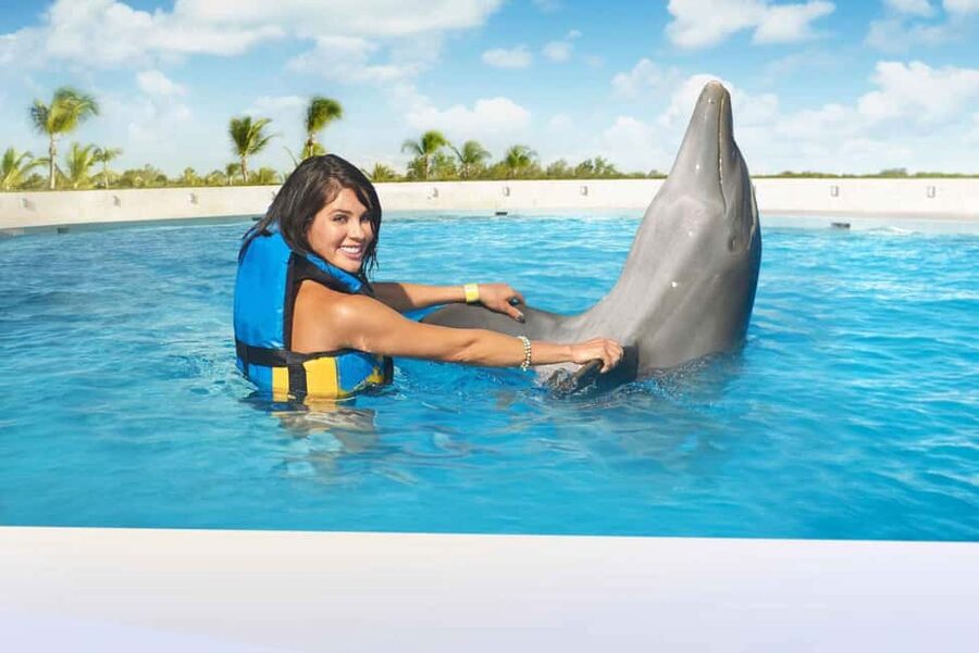 Punta Cana: Dolphin Interaction Experience & Hotel Transfers - Meeting the dolphins in a controlled setting