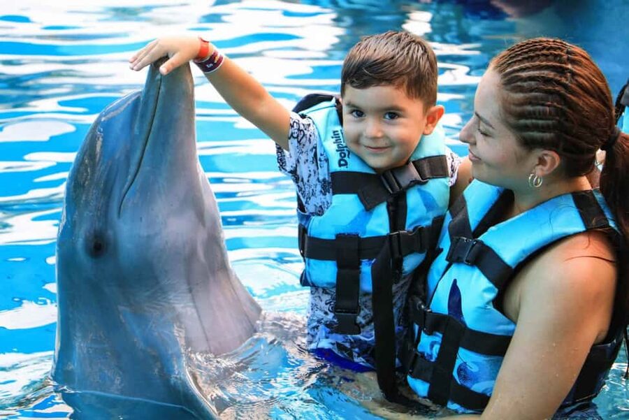 Punta Cana: Dolphin Interaction Experience & Hotel Transfers - What happens during the four-hour visit