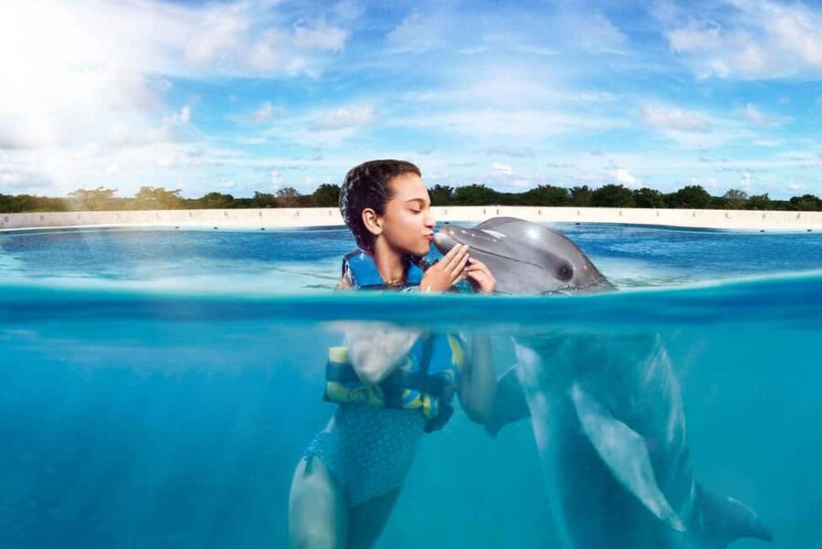 Punta Cana: Dolphin Interaction Experience & Hotel Transfers - The marine mammal lesson adds useful context
