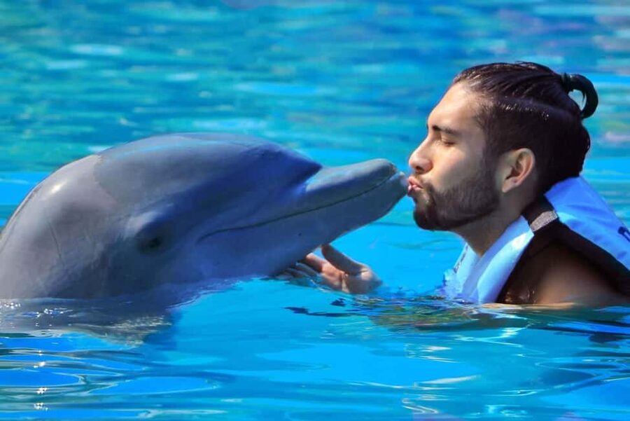 Punta Cana: Dolphin Interaction Experience & Hotel Transfers - The ray and shark tank gives you another stop