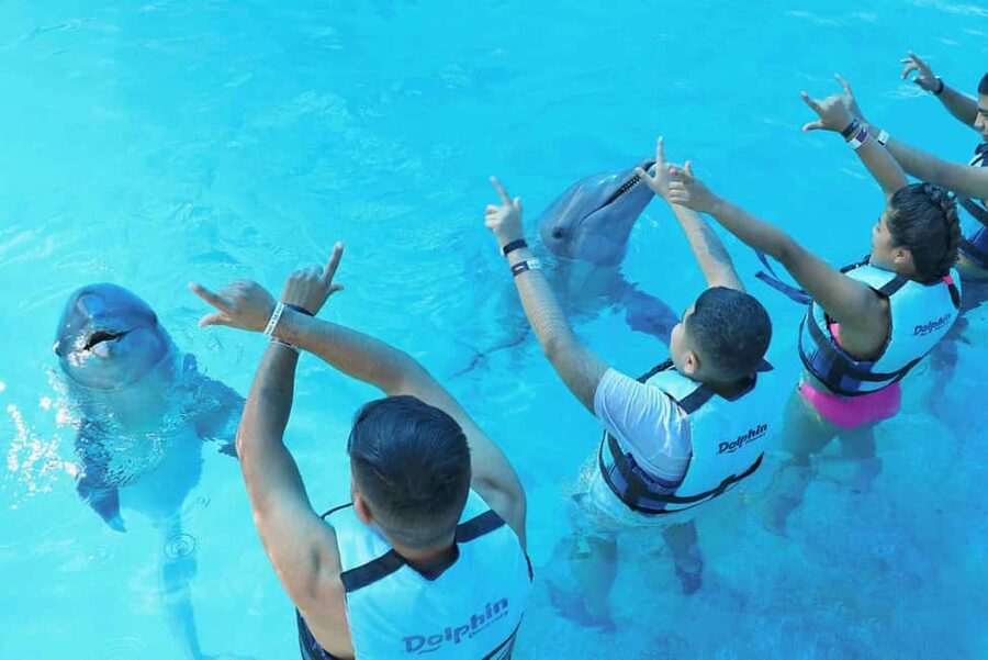 Punta Cana: Dolphin Interaction Experience & Hotel Transfers - Booking flexibility and practical safeguards