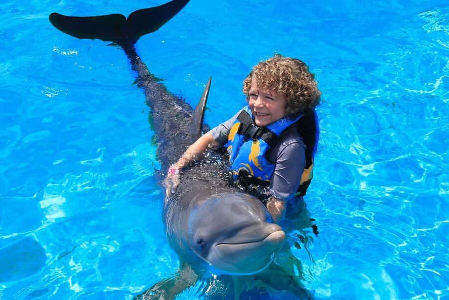 Punta Cana: Dolphin Interaction Experience & Hotel Transfers - Choosing among the three dolphin programs