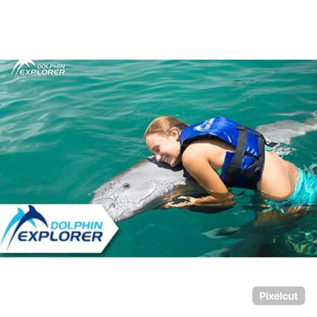 Punta Cana: Dolphin Park Entry and Swim with Dolphins - What the first hour actually includes