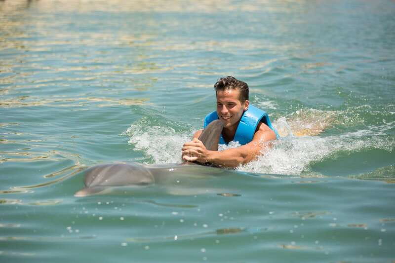 Punta Cancun: Swim with dolphins Interax - Meeting the dolphins beside Hyatt Ziva Cancun