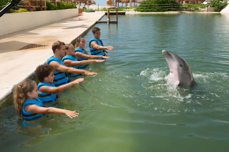 Punta Cancun: Swim with dolphins Interax - Group size and the feel of the session