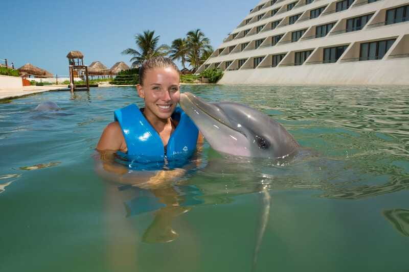 Punta Cancun: Swim with dolphins Interax - What the $138 price really covers