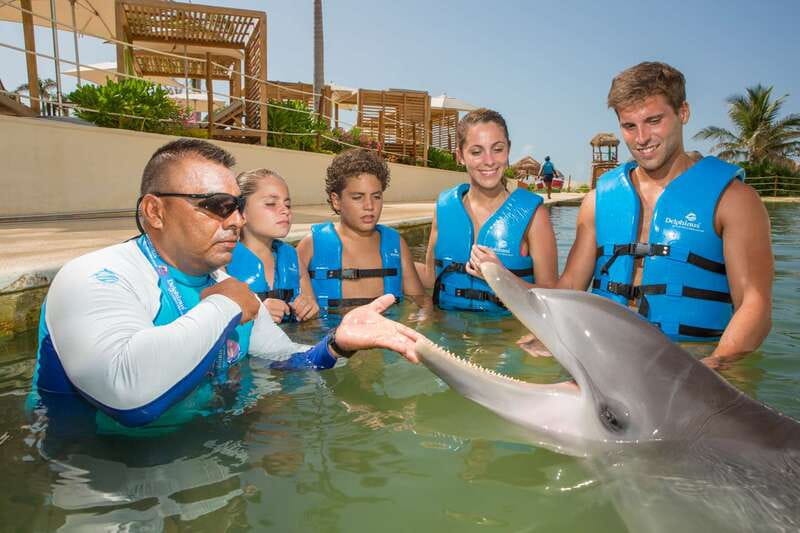 Punta Cancun: Swim with dolphins Interax - Cancellation and booking flexibility