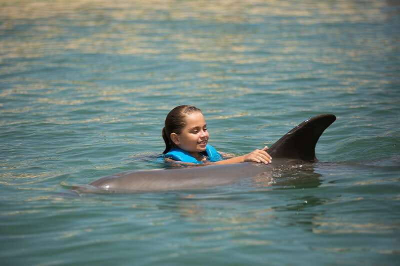 Punta Cancun: Swim with dolphins Interax - What happens during the dolphin contact